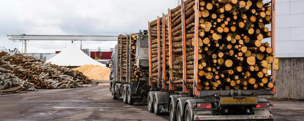 Pappersproduktion i Europa pressas av höga energikostnader. Samtidigt bygger flera asiatiska företag nya fabriker som riskerar skapa global överkapacitet. Foto: Stora Enso.