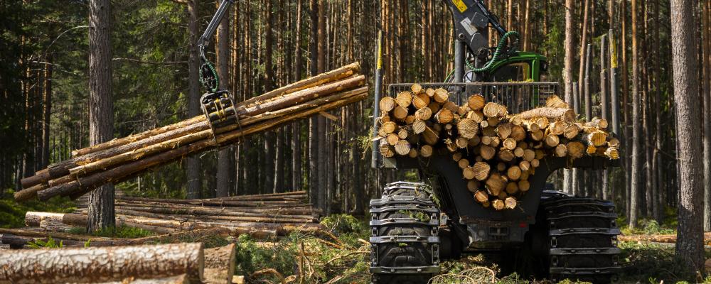 Foto: Bergkvist Siljan AB