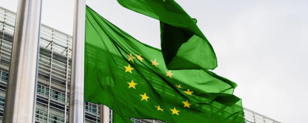 Bild på grön EU flagga.