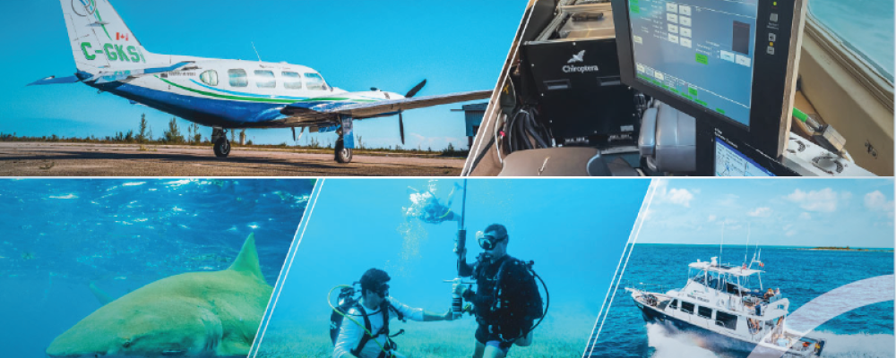 Mätteknikföretaget Hexagon har utsett en ny finansdirektör. Bild: Hexagon