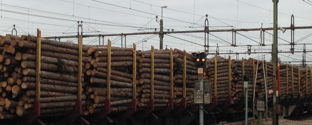 Tågtransporterna utgör ungefär 45 procent av det transportarbetet som krävs för att SCA Skog ska kunna försörja SCA:s industrier med råvara.