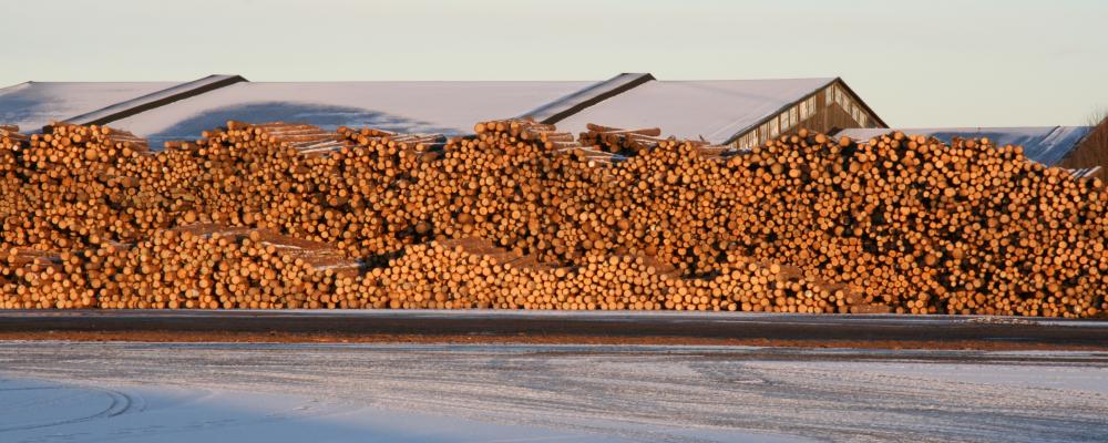 Tullen drabbar framför allt timmerexportörer i östra USA, särskilt Appalacherna, där 40 procent av leveranserna exporterades till Kina före mars i år.