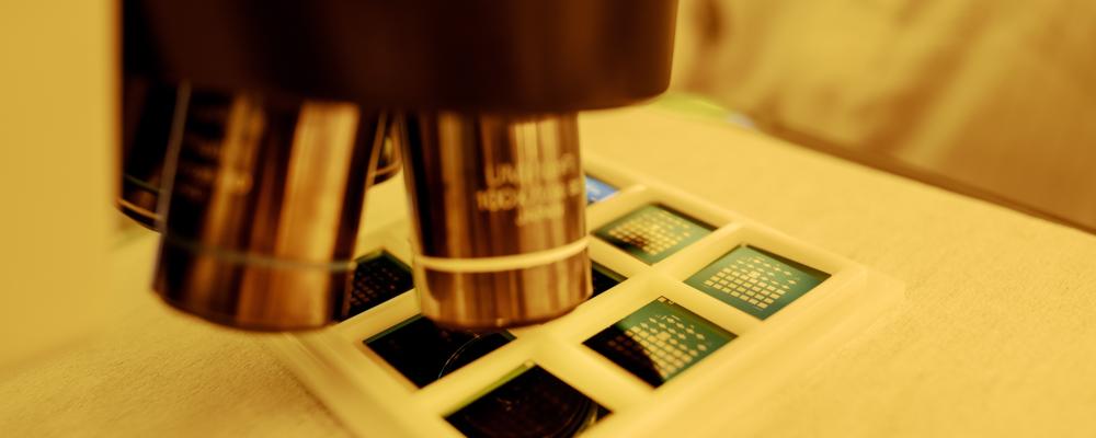 Smoltek hoppas att deras lösning kan bidra till att framtidens högpresterande chip fungerar stabilt och effektivt. Foto: Paul Wennerholm