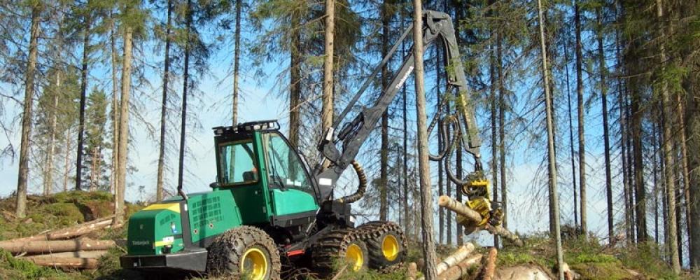 En hjulburen skördare från Timberjack staplar avverkat virke i Finland. Foto: Wikipedia Commons Lic: kredit: Heikki Valve