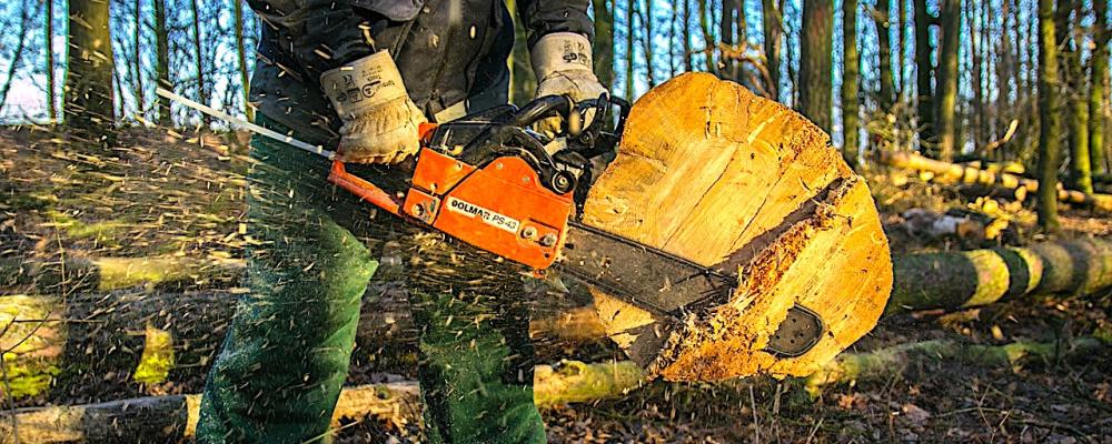 Massamarknaden uppvisar en något stabilare utveckling. Produktionen av långfibrig marknadsmassa väntas öka något i år, även om kapacitetsutnyttjandet i Finland är lågt på grund av driftsbegränsningar och tillfälliga permitteringar. Symbolbild: Creative Commons Lic. Kredit: Erich r.g.