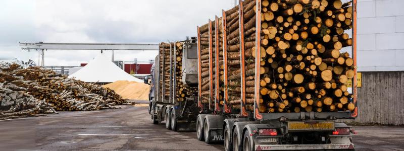 Pappersproduktion i Europa pressas av höga energikostnader. Samtidigt bygger flera asiatiska företag nya fabriker som riskerar skapa global överkapacitet. Foto: Stora Enso.