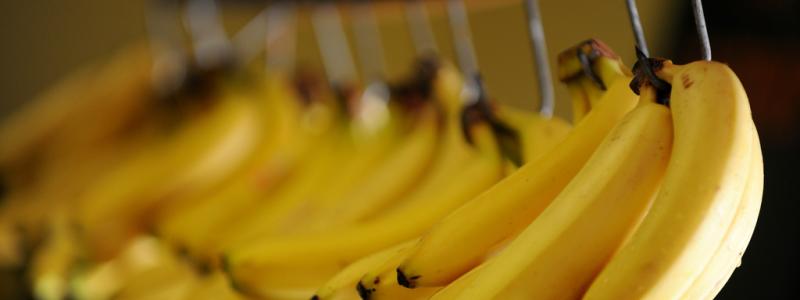 Frank May/AP/TT: Bananer är viktiga för Ecuadors ekonomi. Arkivbild.