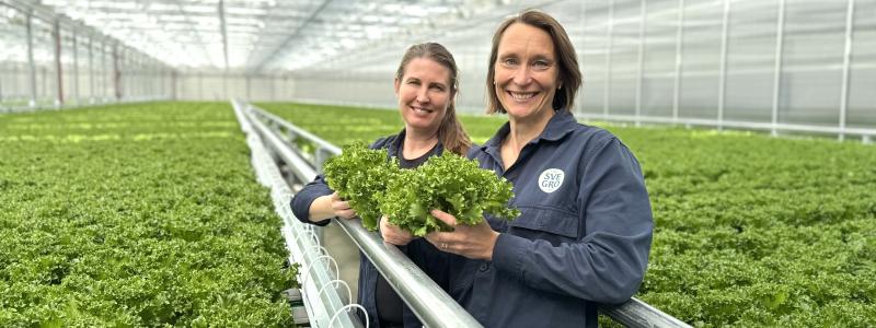 Kristin Orrestig och Lisa Lindström i det nya sallatsväxthuset. Foto: Svegro