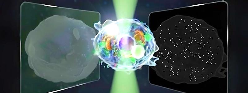 Konceptuell illustration av det tvåvägs ljusspridande mikroskopet, som registrerar både framåt- och bakåtspritt ljus från celler och därmed visar strukturer från hela cellens form till partiklar i nanoskala. Foto: Credit: Horie et al 2025