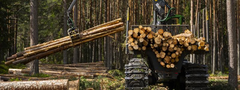 Foto: Bergkvist Siljan AB