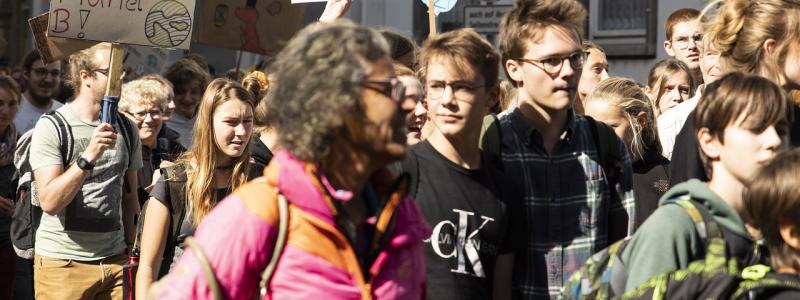 Klimatdemonstration. Foto: Creative Commons Lic. Kredit: Pixabay, cubicroot