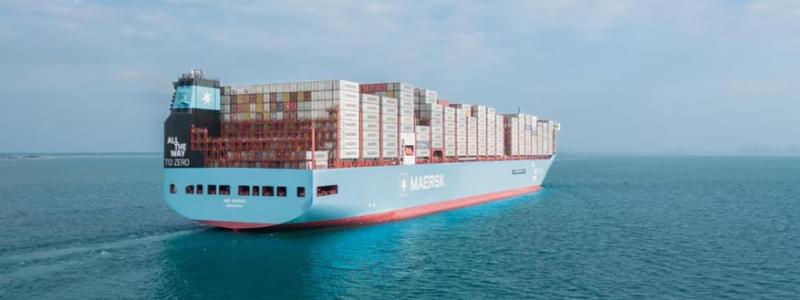 Med Maersk Go kan Maxim Exports fokusera på sin kärnverksamhet och tillväxtmål anser båda partners. Foto: Maersk Go