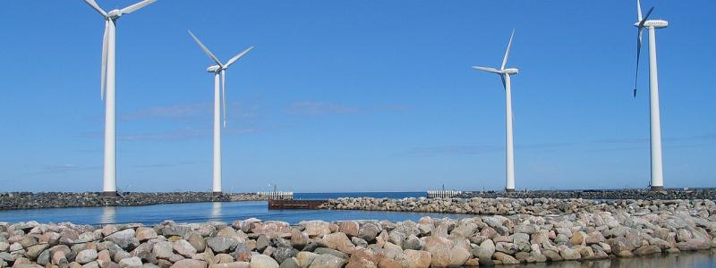 Foto: Dirk Goldhahn/Wikimedia Commons