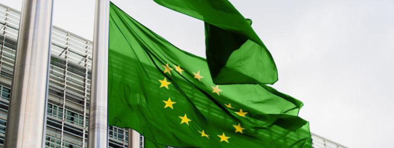 Bild på grön EU flagga.