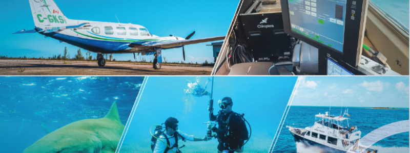 Mätteknikföretaget Hexagon har utsett en ny finansdirektör. Bild: Hexagon