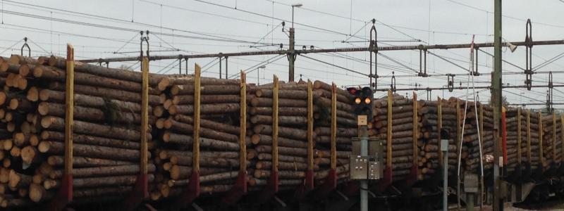 Tågtransporterna utgör ungefär 45 procent av det transportarbetet som krävs för att SCA Skog ska kunna försörja SCA:s industrier med råvara.