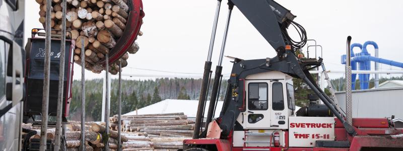 Foto: Victor Lundberg/Norra Timber