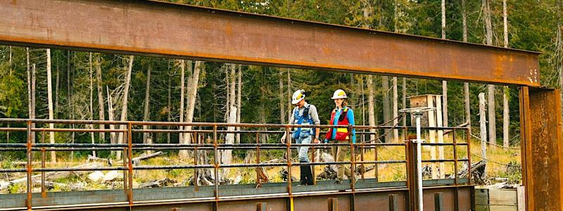 ESG har länge varit en måttstock för att mäta ett företags påverkan på miljön och dess ansvarstagande och transparens. Foto: Pixabay, Creative Commons Lic, kredit: Mount Polley