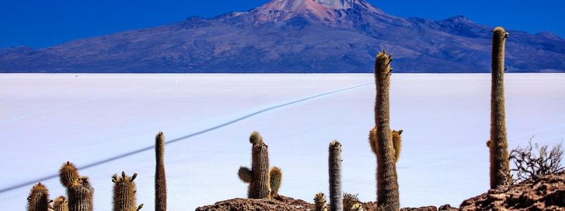 Saltöken i Bolivia där litium utvinns. Foto: Murray Foubister - https://www.flickr.com/photos/mfoubister/24544044010/Wikimedia Commons