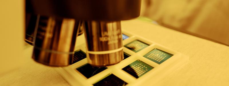 Smoltek hoppas att deras lösning kan bidra till att framtidens högpresterande chip fungerar stabilt och effektivt. Foto: Paul Wennerholm