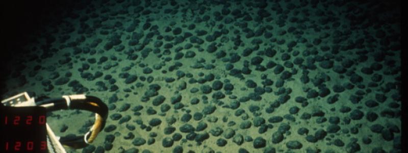 Polymetalliska noduler på havsbotten i Stilla havet. Foto: Philweb/WIkimedia Commons