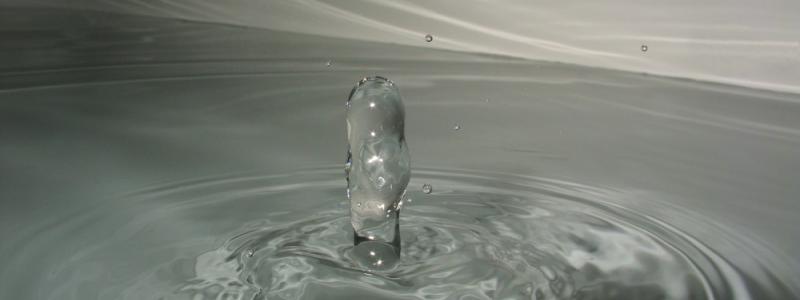 Foto: Robert M. Classus/Wikimedia Commons