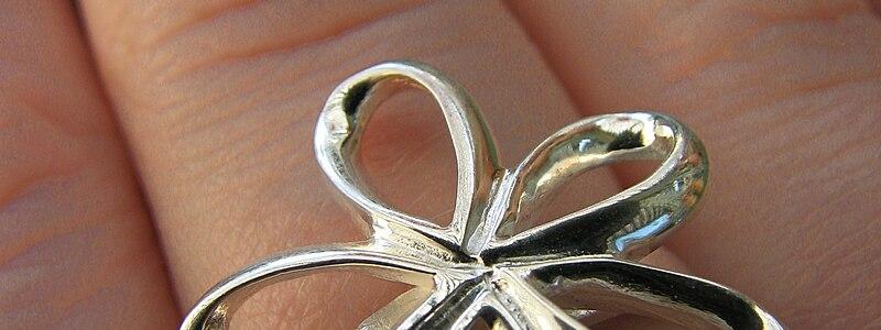 Silverring. Foto: Snibban/Wikimedia Commons