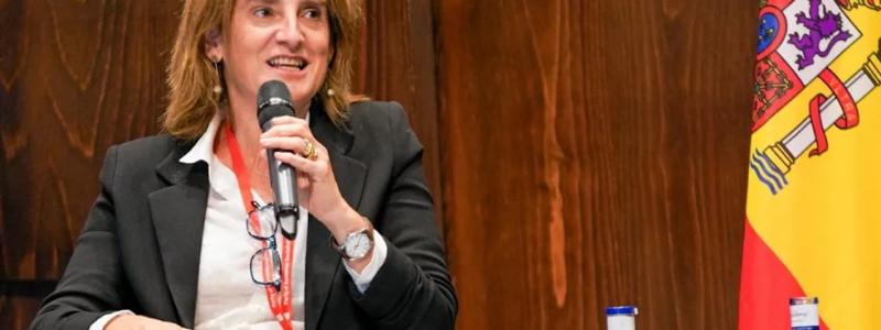 Teresa Ribera, Spaniens minister för landets energiomställning. spanska regeringen har beviljat 150 miljoner euro (motsvarande 163 miljoner dollar) i bidrag till tolv "innovativa" projekt som tillsammans ska producera 309 megawatt grön vätgas för användning i svåravkarboniserade sektorer, inklusive tung industri, transport och kemikalier. Foto: Party of European Socialists/Flickr