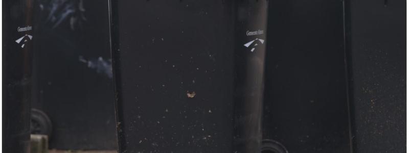 unsplash
