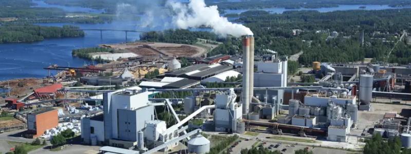Höga virkespriser tvingar UPM hålla Kaukas massafabrik stängd längre. Foto: UPM