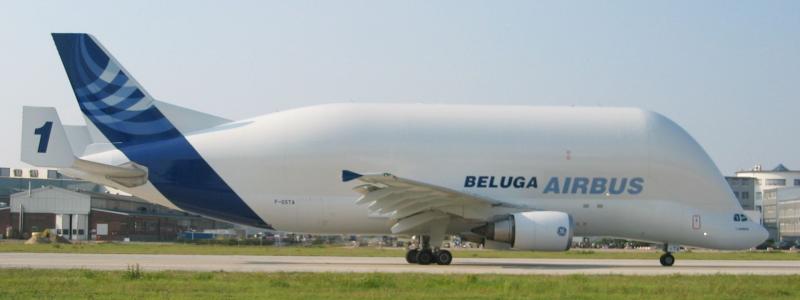 Beluga, som flygplanen heter, har fått sitt namn efter deras likhet med en lång tandval, också kallad beluga. Foto: Xeper/Wikimedia Commons