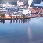 Nämnden för byggnads- och miljöfrågor i Nyslott behandlade ärendet under sommaren och gjorde klart att man förväntade sig alternativa lösningar från företaget. I sitt yttrande betonade nämnden att en utfyllnad av vattenområdet skulle kunna påverka både vattenkvaliteten och saimenvikarens möjligheter att häcka.
– Att fylla ut vattenområdet skulle påverka exempelvis vattenkvaliteten och saimenvikarens häckning, stod det i nämndens utlåtande. Foto: Metsä Group