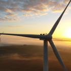 Vindkraftsbranschens intresse verkar vika. Redan i juni visade Tysklands tidigare auktion tecken på svag efterfrågan, då endast två aktörer lämnade bud i en upphandling om en gigawatt kapacitet i Nordsjön. Ett av dessa bud kom från franska energijätten TotalEnergies – och var ett så kallat nollbud, vilket innebär att företaget inte begärde några statliga stöd eller ersättning per producerad kilowattimme. Foto: Totalenergies