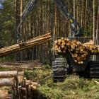 Foto: Bergkvist Siljan AB