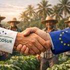 Den europeiska branschorganisationen Confederation of European Paper Industries, Cepi, välkomnar i ett uttalande undertecknandet av partnerskapsavtalet mellan EU och Mercosur.  En ohelig allians av högerextremister och vänsterpartier i Europaparlamentet sade emellertid nej till avtalet. Därmed ligger frågan nu hos EU:s domstolar, som ska pröva hur avtalet förhåller sig till unionsrätten och EU:s klimat- och miljölagstiftning. Illustration, ej fotografi- AI-genererat innehåll, Copyright, Conventus.