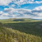 Skogsmarker i norra Finland. Wikipedia Common Lic,Kredit:  Ximonic Simo Räsänen