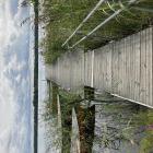 Längs sjöarnas stränder finns en rik vegetation av snabbväxande vattenväxter som tar upp koldioxid. Foto: Sandra Gunnarsson