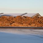 Tullen drabbar framför allt timmerexportörer i östra USA, särskilt Appalacherna, där 40 procent av leveranserna exporterades till Kina före mars i år.