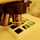 Smoltek hoppas att deras lösning kan bidra till att framtidens högpresterande chip fungerar stabilt och effektivt. Foto: Paul Wennerholm