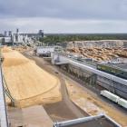 Raumo (på finska Rauma) är en viktig industristad på västkusten av Finland, och där ligger en av Metsä Fibres moderna massafabriker. Raumo massafabrik togs i drift 2021 och är en av världens mest avancerade anläggningar för produktion av barrsulfatmassa. Fabriken är helautomatiserad och digitaliserad i stor utsträckning. Den har en årlig produktionskapacitet på cirka 1,5 miljoner ton barrmassa och är designad för att vara energieffektiv med låg miljöpåverkan. En stor del av den energi som används i produktionen genereras internt som bioenergi från processrester. Metsä Fibre har satsat kraftigt på teknologisk utveckling i Raumo. Fabriken är inte bara en produktionsplats utan även ett exempel på hur framtidens skogsindustri kan se ut, med fokus på cirkulär ekonomi och digital processövervakning. Läget vid Östersjön gör det dessutom logistiskt fördelaktigt med goda exportmöjligheter till Europa och Asien via hamnen i Raumo. Foto: Metsä Fibre