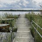 Längs sjöarnas stränder finns en rik vegetation av snabbväxande vattenväxter som tar upp koldioxid. Foto: Sandra Gunnarsson