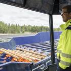 Fredrik Samuelsson, sågverkschef vid Sävar såg. Foto: Victor Lundberg/Norra Timber