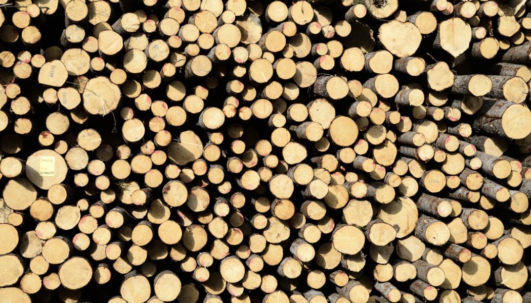 Henrik Montgomery/TT: Ukrainakrigets effekter på rysk export har skapat utbudsbrist, som trycker upp priserna. Arkivbild