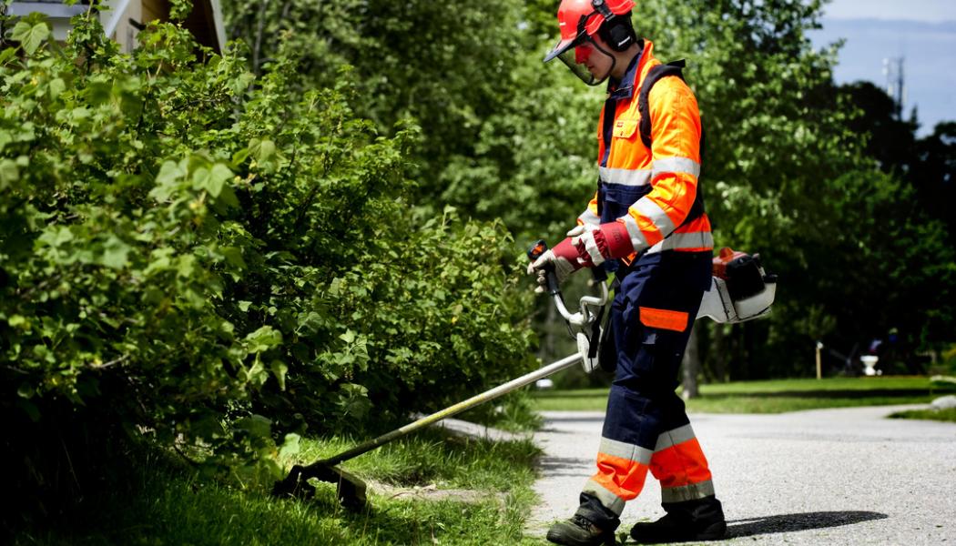 Pontus Lundahl/TT: Många unga skadas varje år på sitt sommarjobb. Arkivbild.