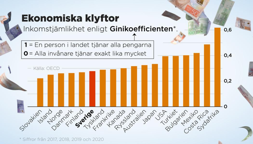 Anders Humlebo/TT: Inkomstjämlikhet enligt Ginikoefficienten.