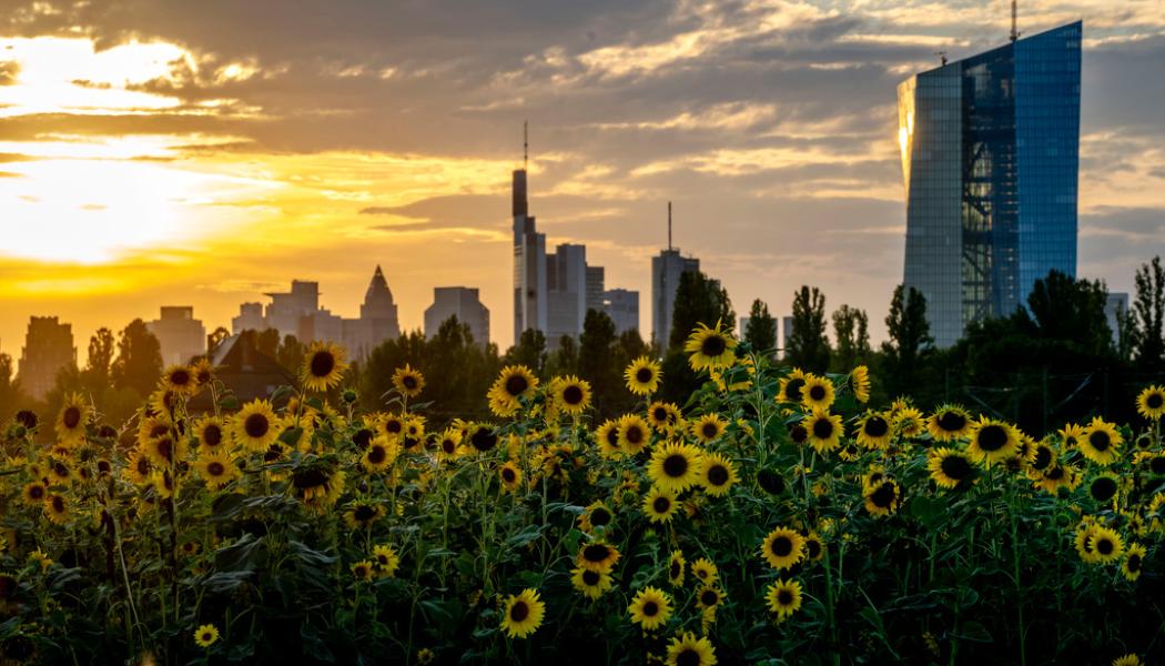 Michael Probst/AP/TT: Europeiska centralbankens kontor i Frankfurt. Arkivbild.
