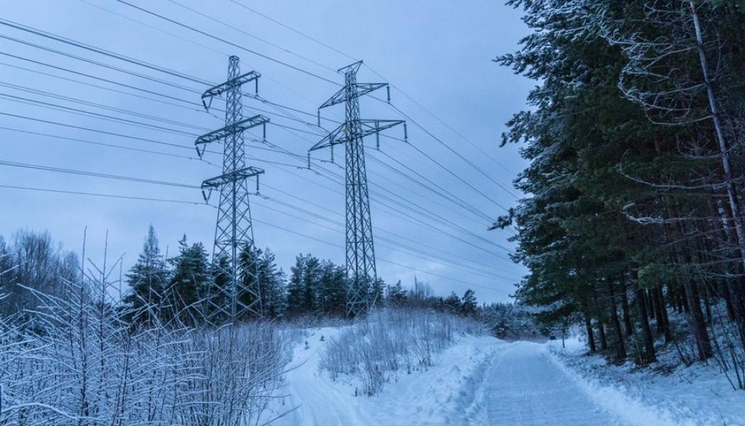 Foto: Per Berglund / Mostphotos