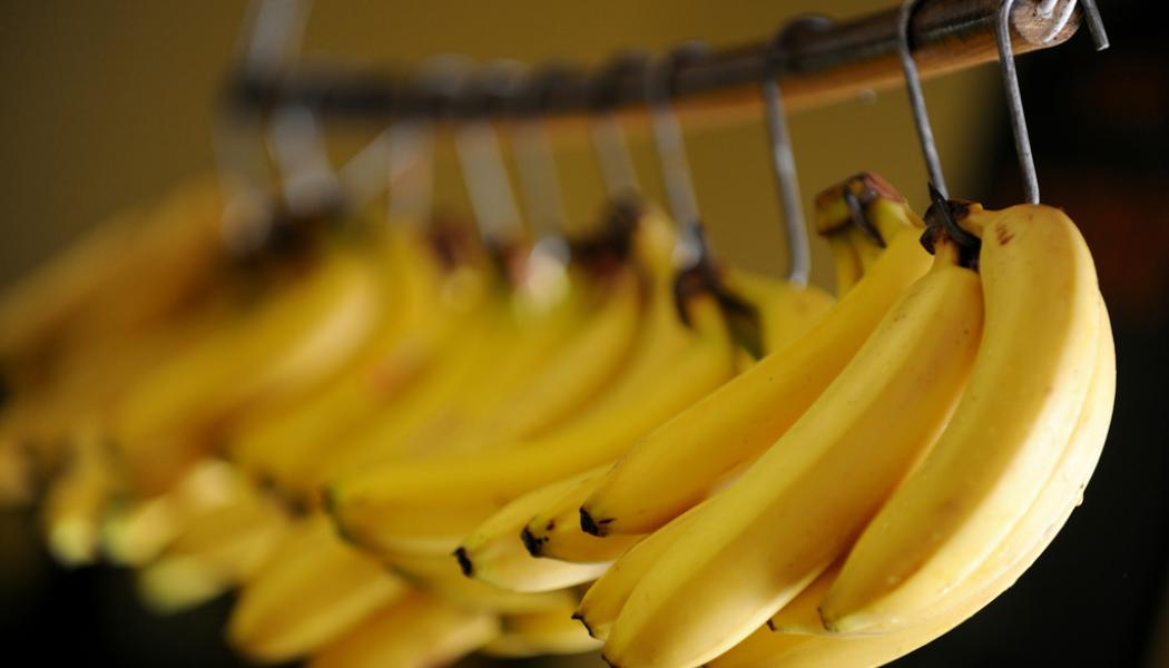 Frank May/AP/TT: Bananer är viktiga för Ecuadors ekonomi. Arkivbild.