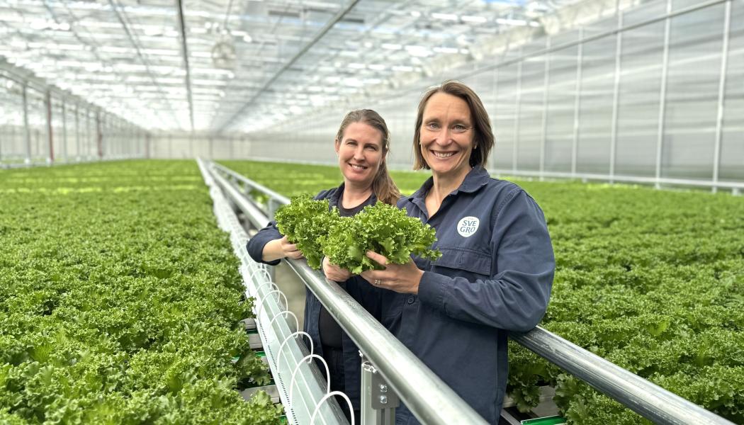 Kristin Orrestig och Lisa Lindström i det nya sallatsväxthuset. Foto: Svegro