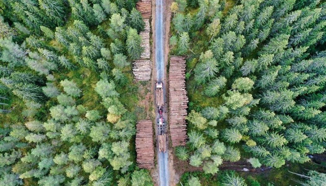 Svensk träindustri tecknar hållbart samarbetsavtal med elbolaget Bixia. Foto: Sågtjänst Syd